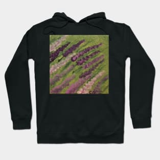 Lavender Breeze Hoodie